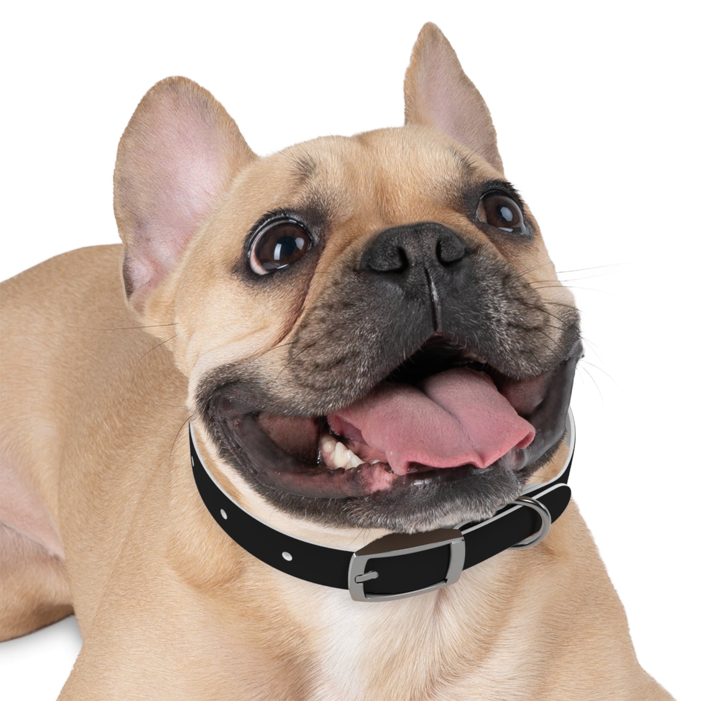 favorite child collar