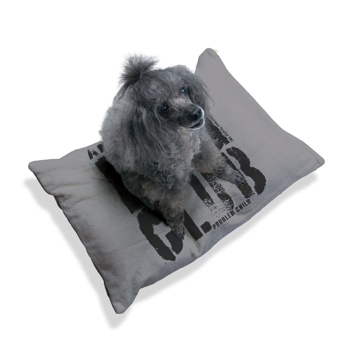 the anti social dog club bed