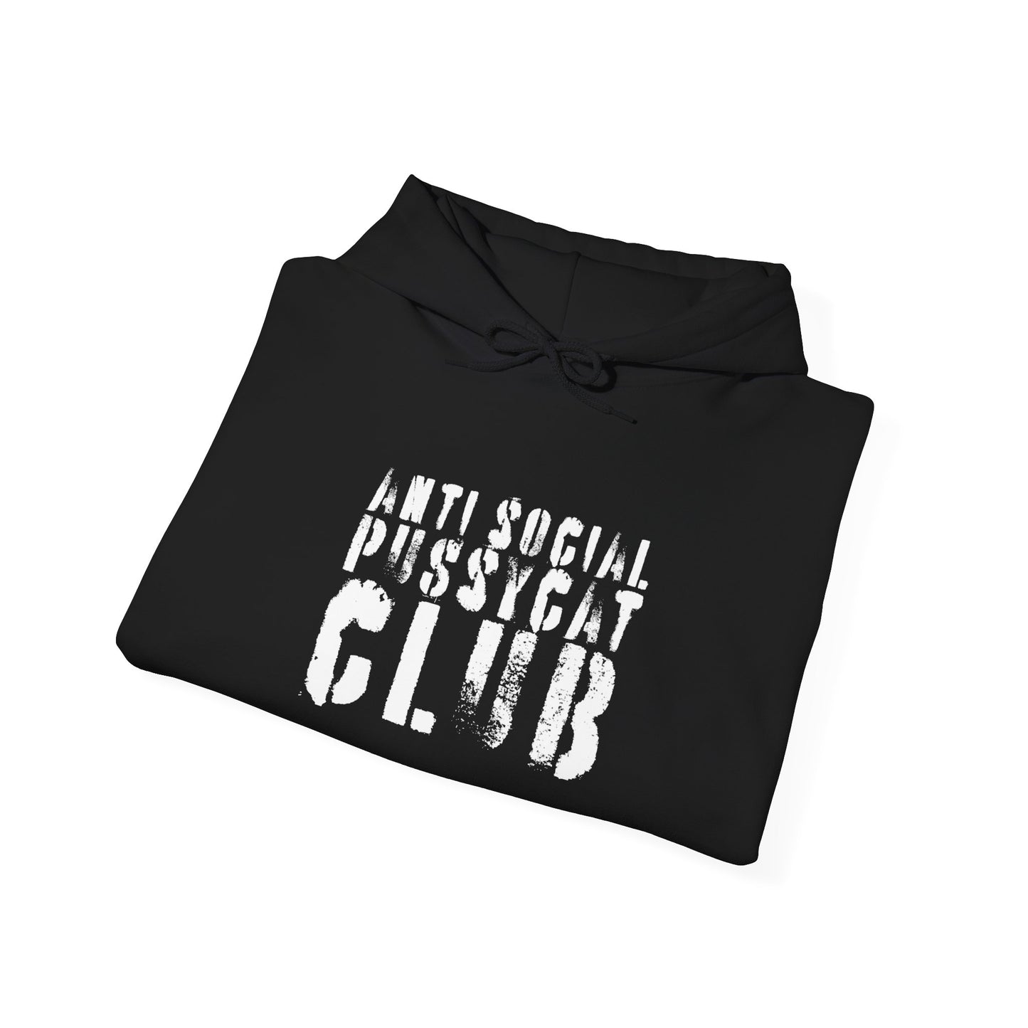 the anti social pussycat club hoodie : the problem child edition