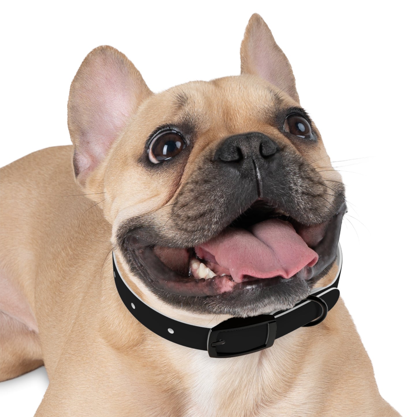 favorite child collar