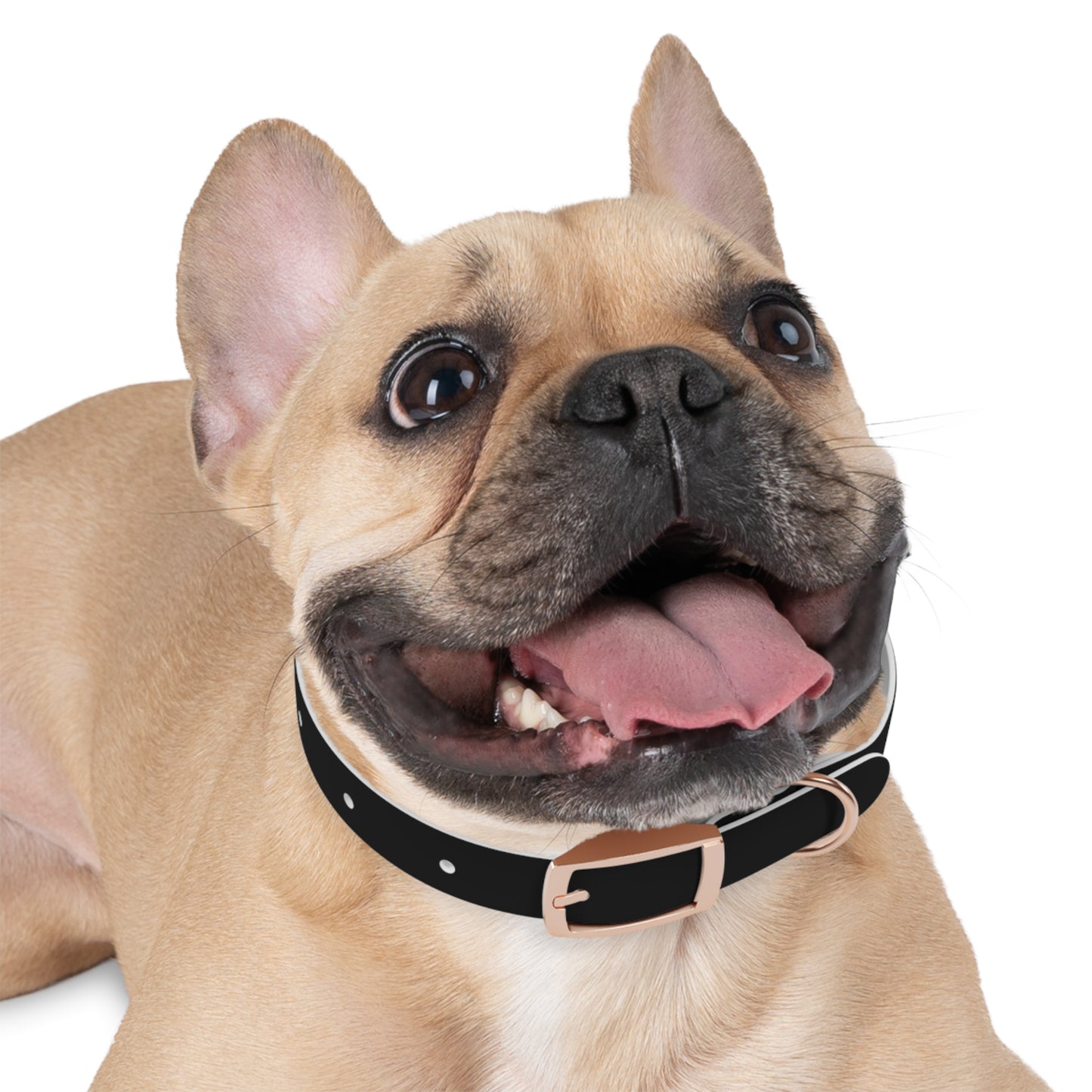favorite child collar