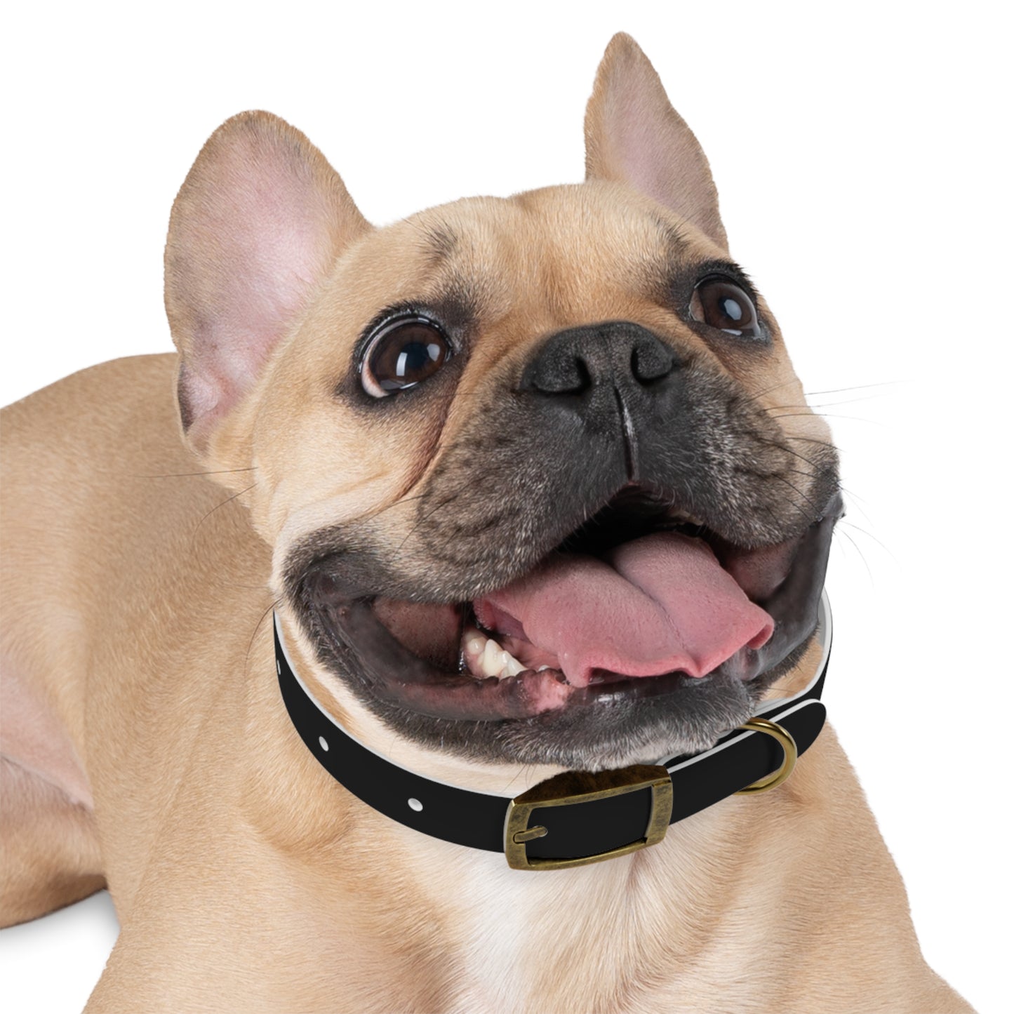 favorite child collar
