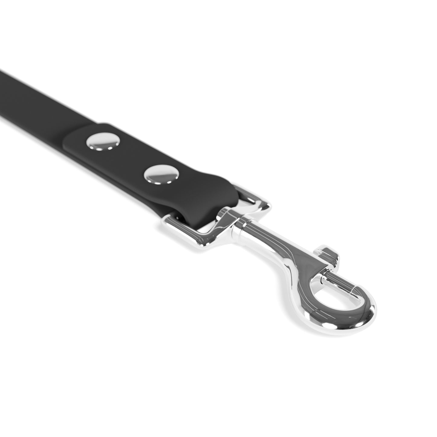 the problem child leash
