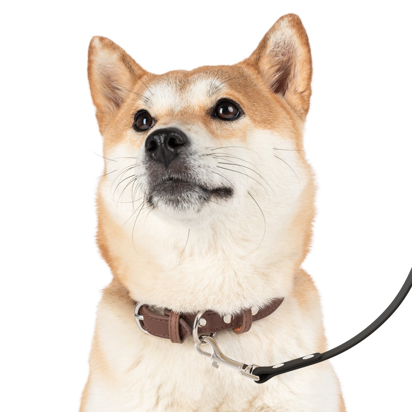the problem child leash
