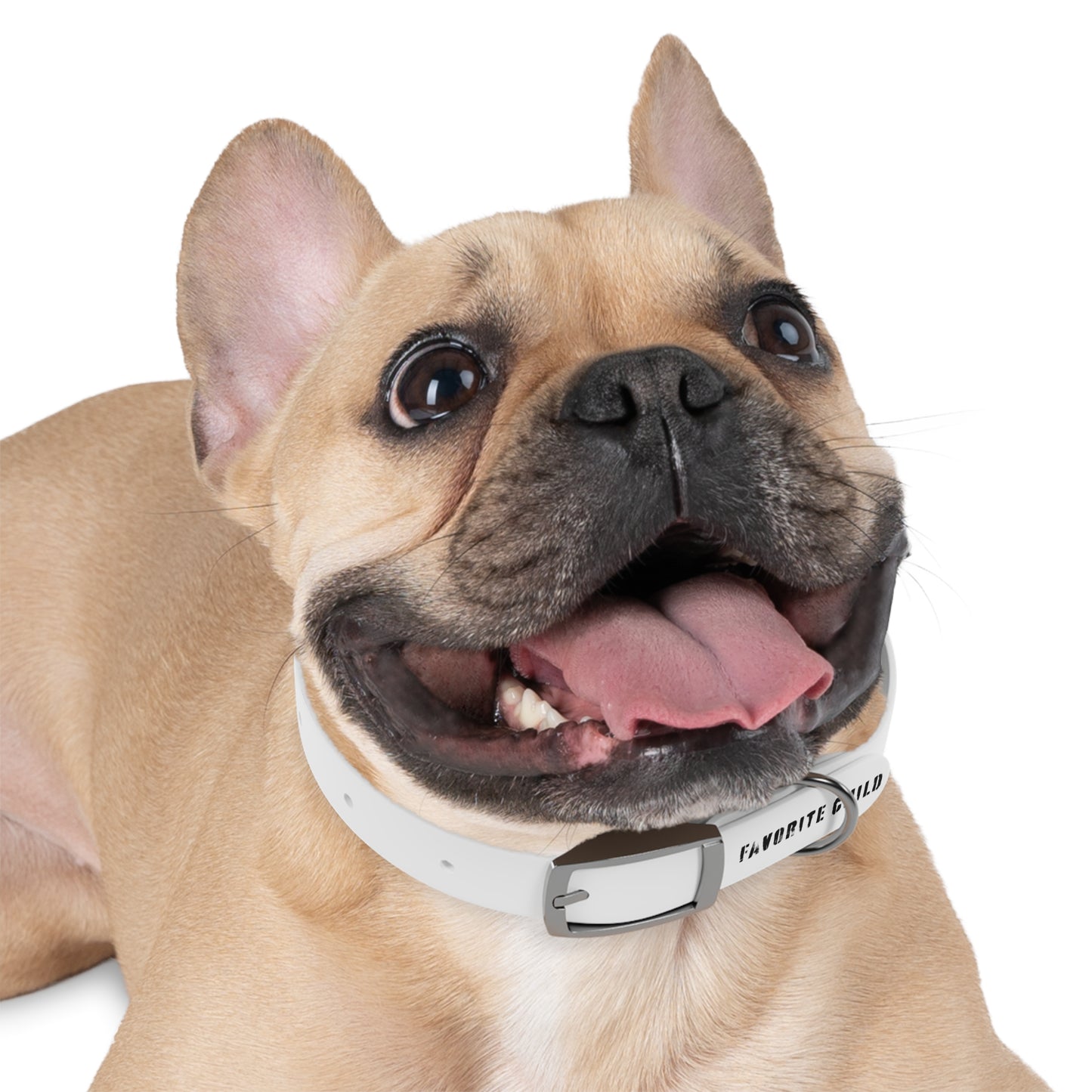 the favorite child collar
