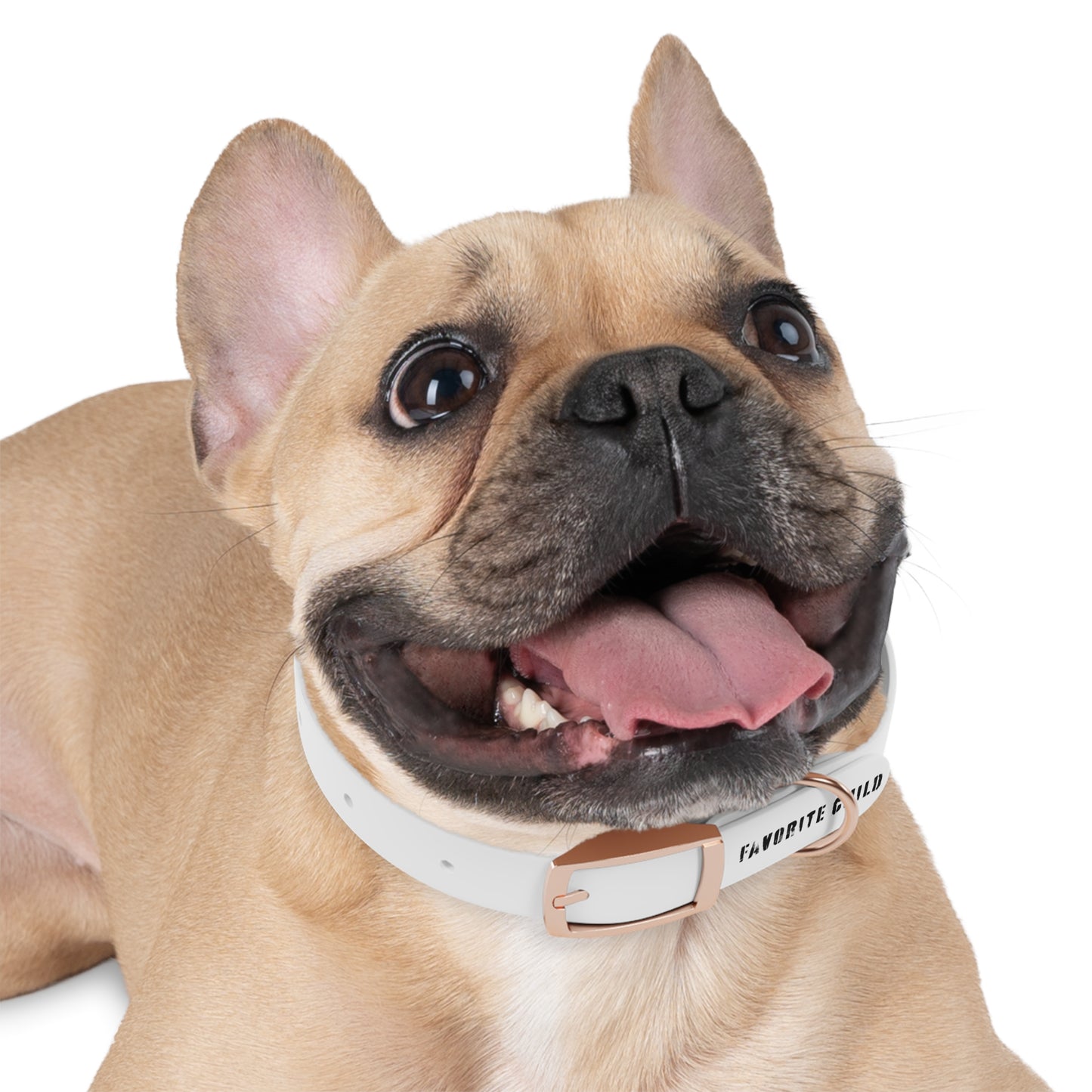the favorite child collar