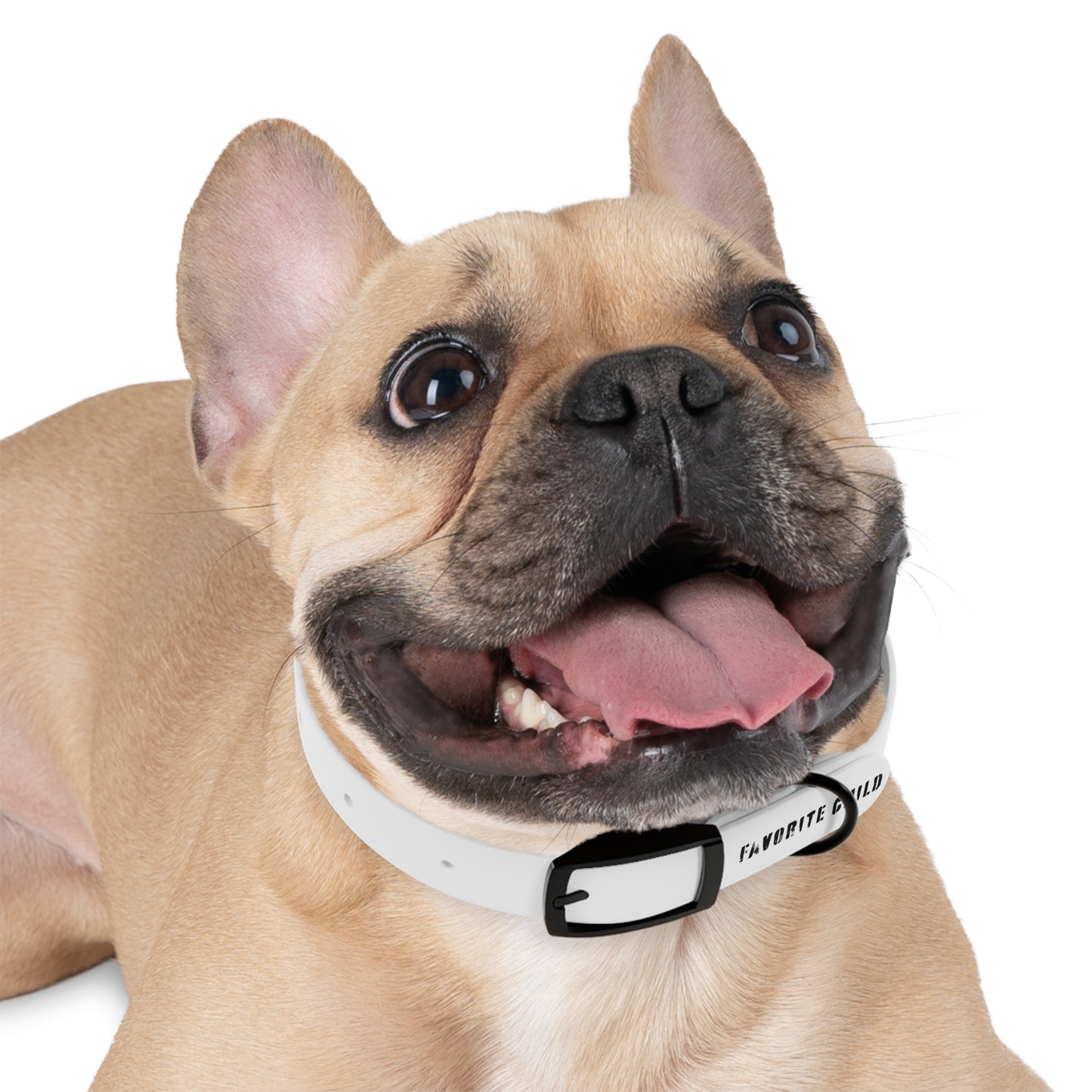 the favorite child collar