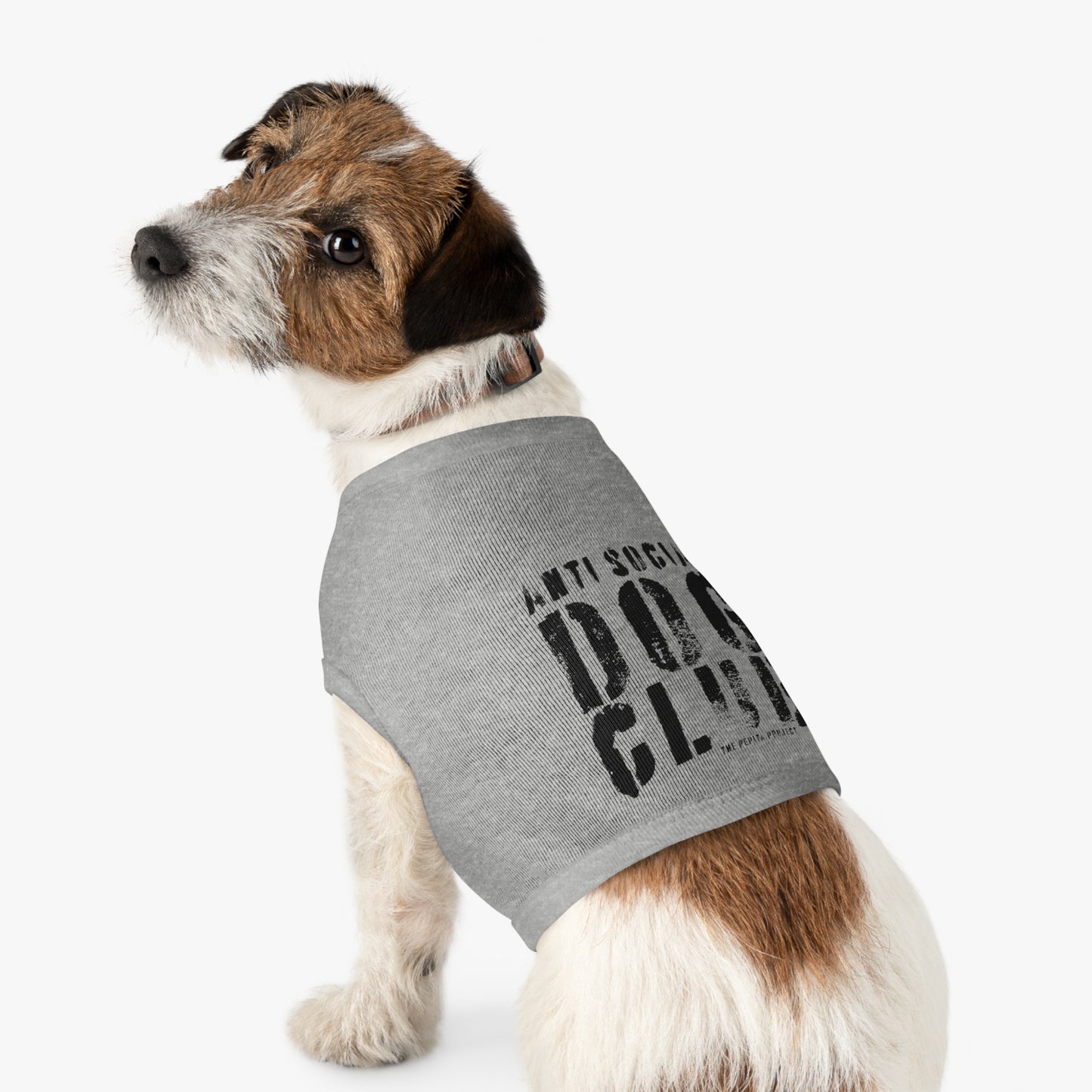 the anti social dog club tank